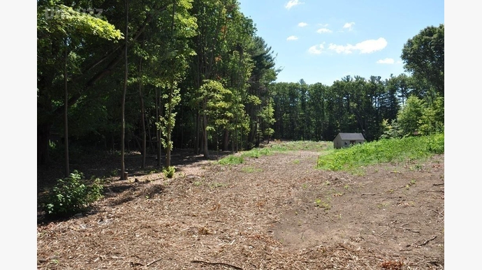 peach street, walpole, 02081-美国walpole罗克斯伯里拉丁学校(男校)