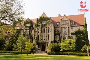 1610036866885335832 副本