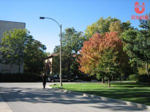 6554d2af499a55cfc9ac2&690 副本