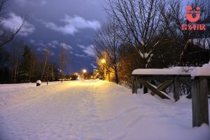 6597937281331502993 副本