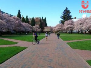 T014cb81926d2e7f7d7 副本