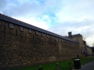 1419697294599p19a68r330169is9smi5tmd10p22