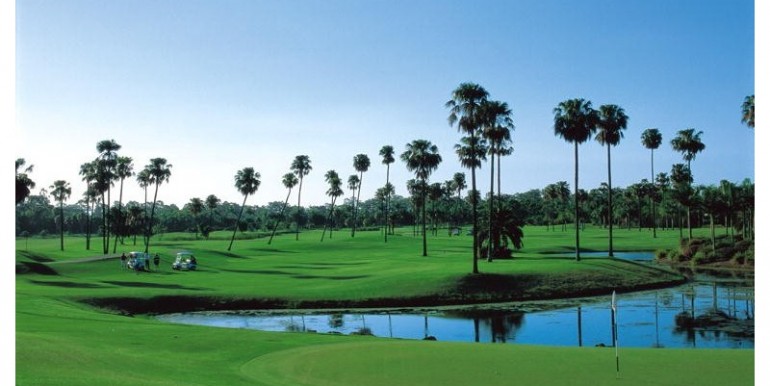 Sundale 201502160012 770x386