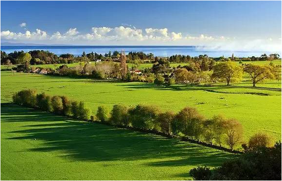 微信截图 20161207161218