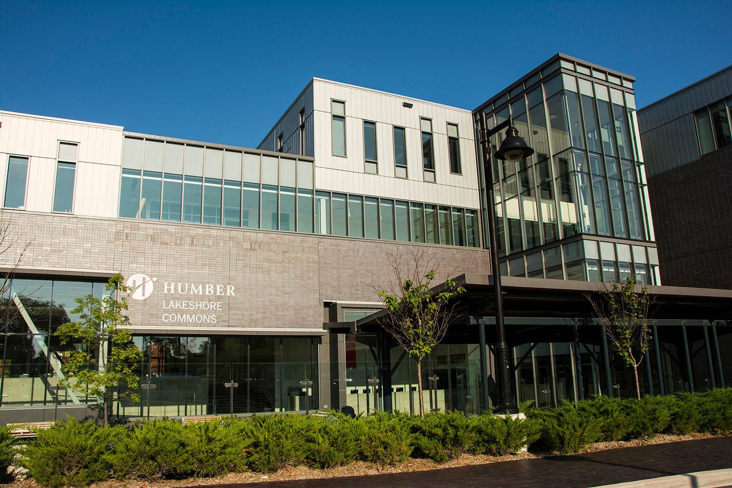 多伦多租房,汉博学院 - lakeshore校区合租,多伦多合租,加拿大租房